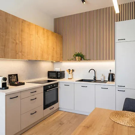 Stylish 1Br Apt With Living Room City Comfort Lejlighed
